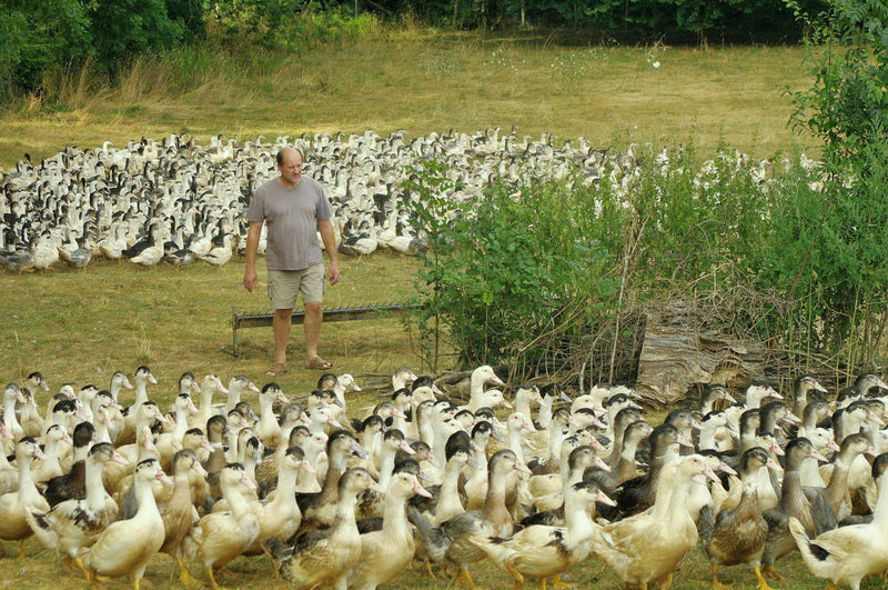 Notre engagement qualité